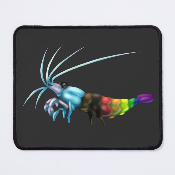 Item preview, Pride Progress Shrimp designed and sold by Jeenakatarox.