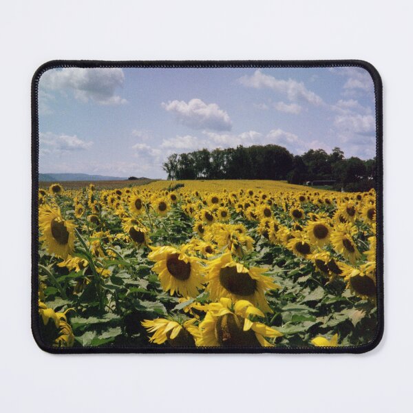 Item preview, Sunflower Field designed and sold by jacobz-design.