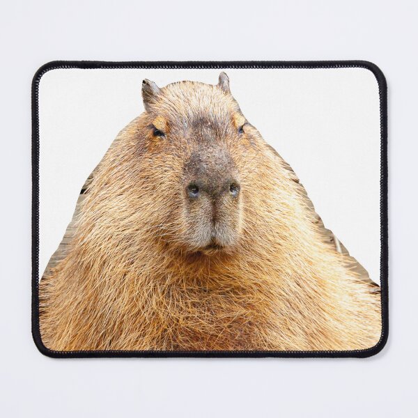Item preview, Cuddly Cappy designed and sold by Dalyndigital Photography.