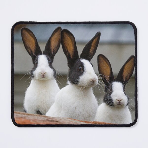 Item preview, Three Bunnies designed and sold by Jonathan Lundkvist.