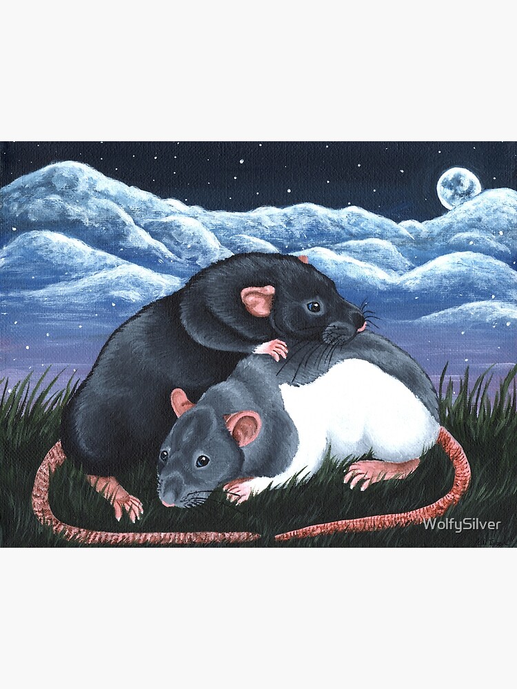 black self dumbo rat