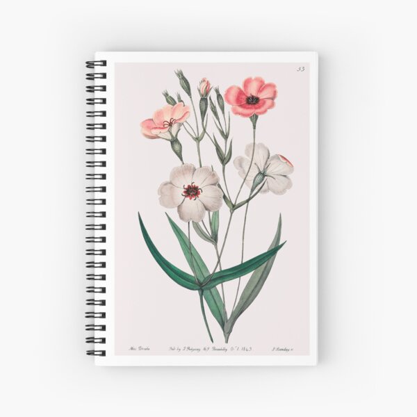 Vintage Dark-Eyed Viscaria Botanical Illustration | P331 Spiral Notebook