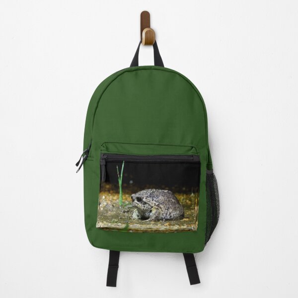 Item preview, Cape Rain Frog designed and sold by Zoeljartwork.