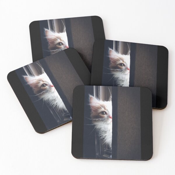 Item preview, hidden kitten designed and sold by KNBS.