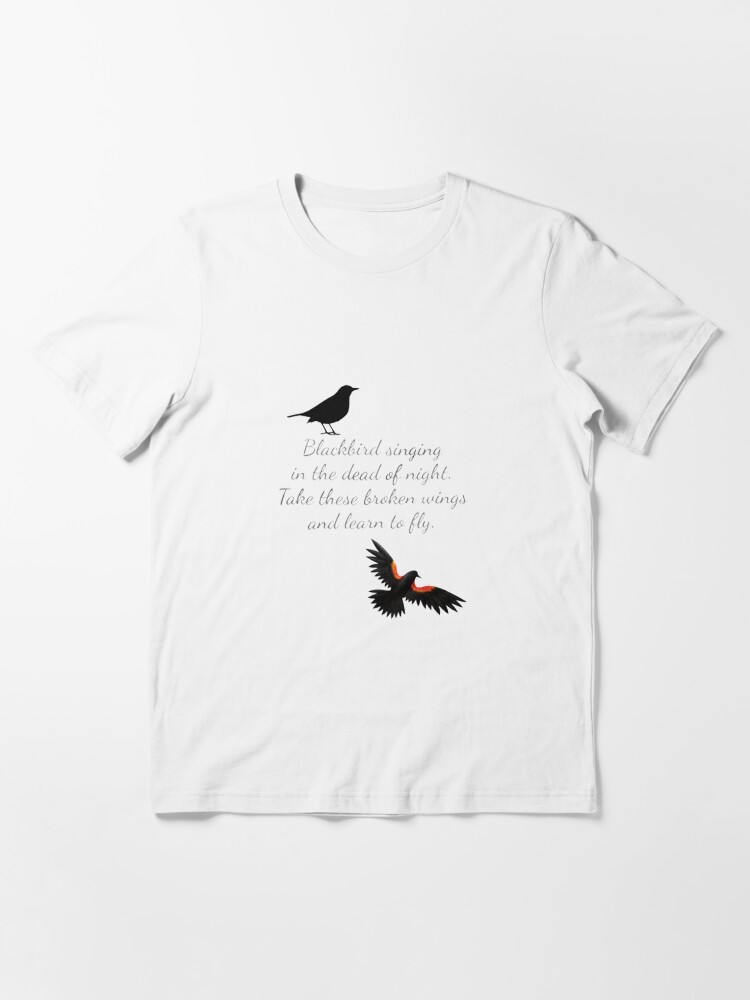 Blackbird singing in the dead of night