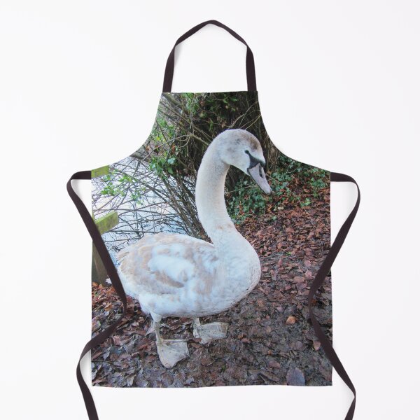 Item preview, Half Grown Cygnet, Highworth, Wiltshire designed and sold by lezvee.