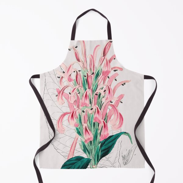 Item preview, Ilustración botánica Vintage Pink Justicia | P335 designed and sold by Piccolo Fiore Prints.