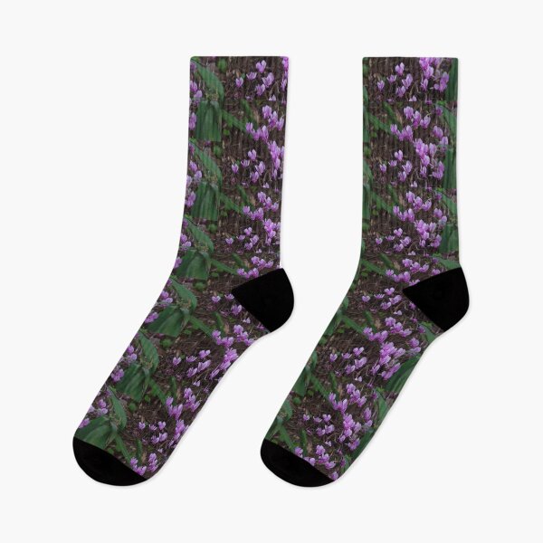 Item preview, Wild Cyclamen - Cyclamen persicum designed and sold by lezvee.