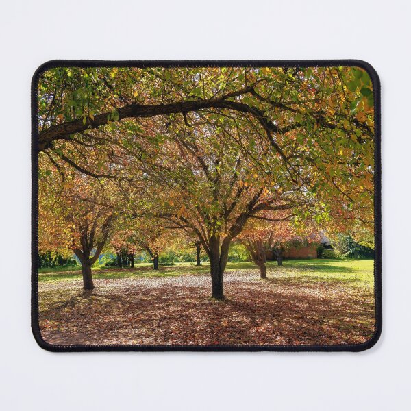 Item preview, Autumn Colours - Nepean Riverside (3) designed and sold by Josette Halls.