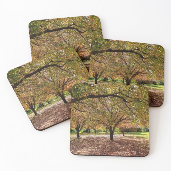 Item preview, Autumn Colours - Nepean Riverside (3) designed and sold by Josette Halls.