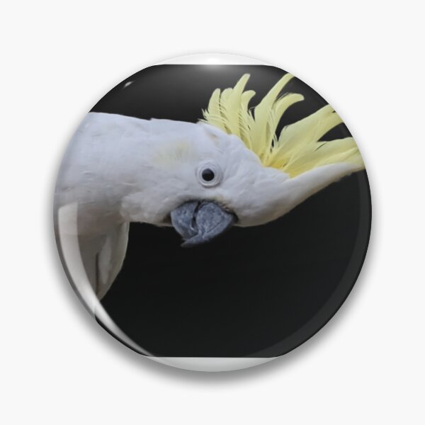 Item preview, Sulphur Crested Cockatoo  designed and sold by roovines.