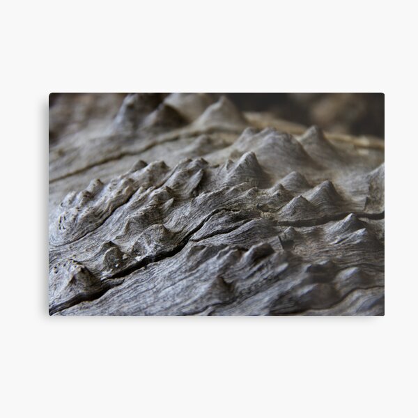Moonscape Metal Print