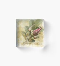 Gather Rosebuds While You May Acrylic Block