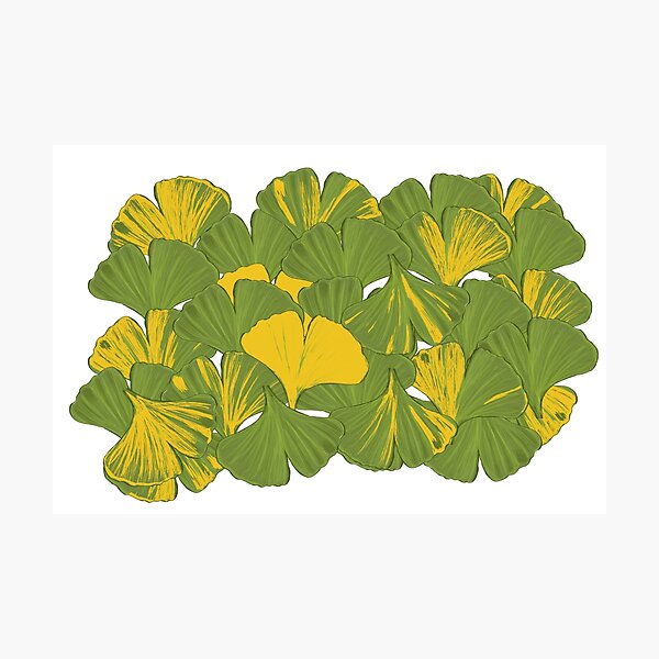 Item preview, Gingko biloba leaves designed and sold by Taidundua.