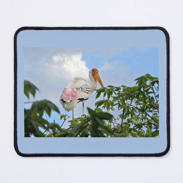 Item preview, Milky Stork designed and sold by Linda Walsh.