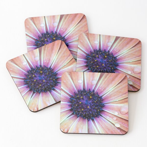 Item preview, African Daisy designed and sold by Tanya C  Smith.