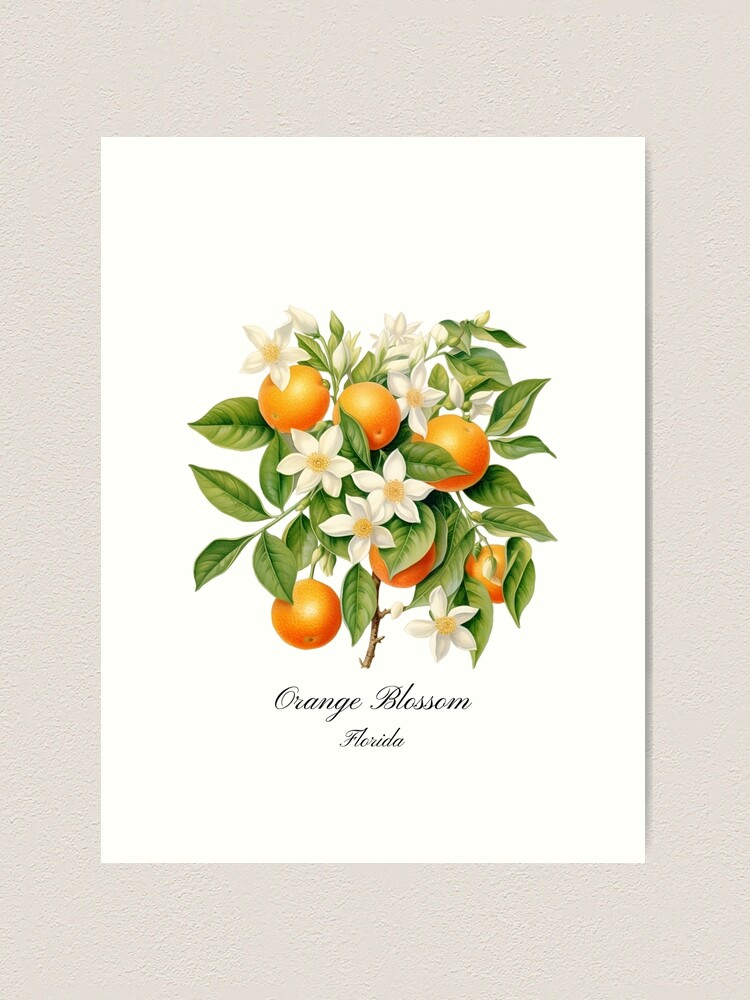 PWHAOO Florida State Tote Bag - Orange Blossom Design With "Florida Est 1845 Sunshine State" Print - Reusable Gift Bag