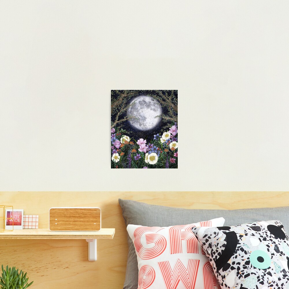 Midnight in the Garden II Photographic Print