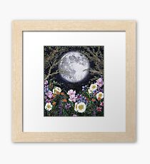 Midnight in the Garden II Framed Print