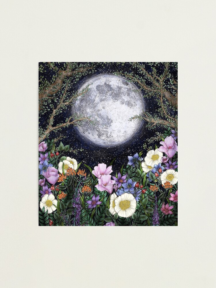 Alternate view of Midnight in the Garden II Photographic Print