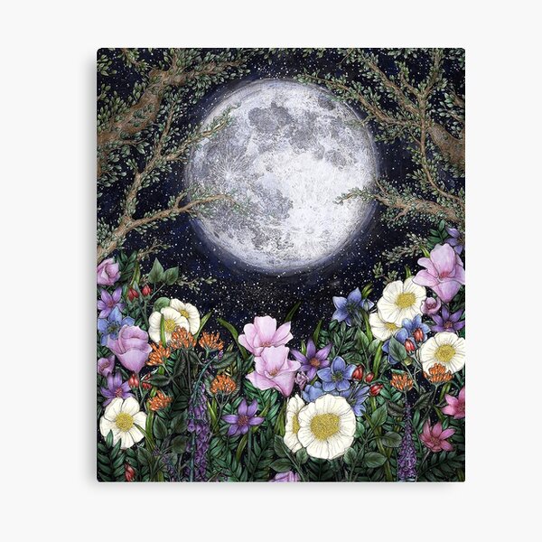 Midnight in the Garden II Canvas Print