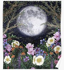 Mitternacht im Garten II Poster