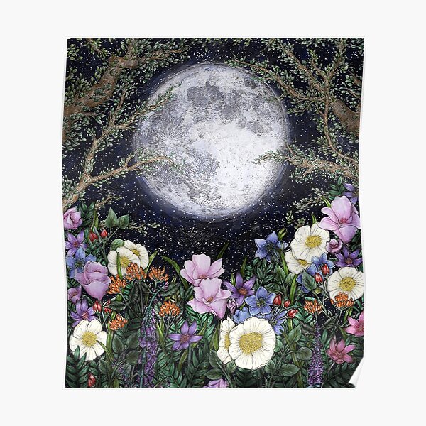 Midnight in the Garden II Poster