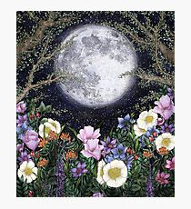 Midnight in the Garden II Photographic Print