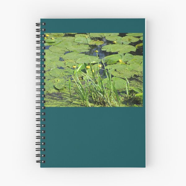 Item preview, Green water with nuphar flowers  photography | green river summer photo designed and sold by lausn.