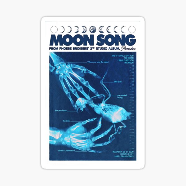 Item preview, Indie Song With Xray Style  designed and sold by Endomotohugya.