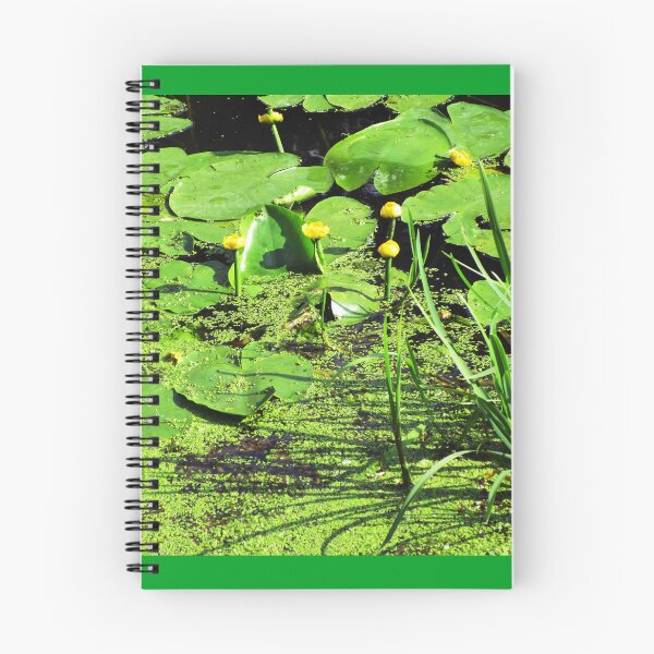 Item preview, Green water with nuphar flowers  photography | green river summer aesthetic photo designed and sold by lausn.