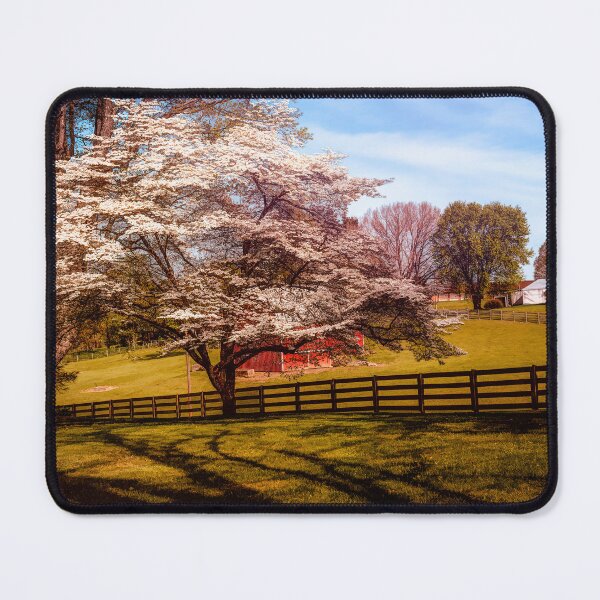 Item preview, Joy Of Spring 2 designed and sold by Jim Love.