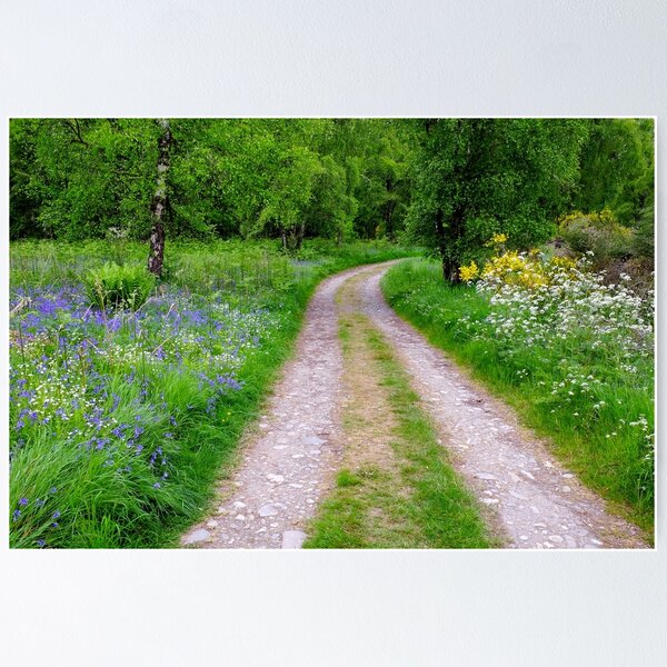 Item preview, Beauly River walk  designed and sold by Macrae images.