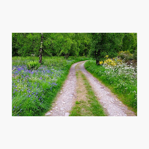 Item preview, Beauly River walk  designed and sold by Macrae images.