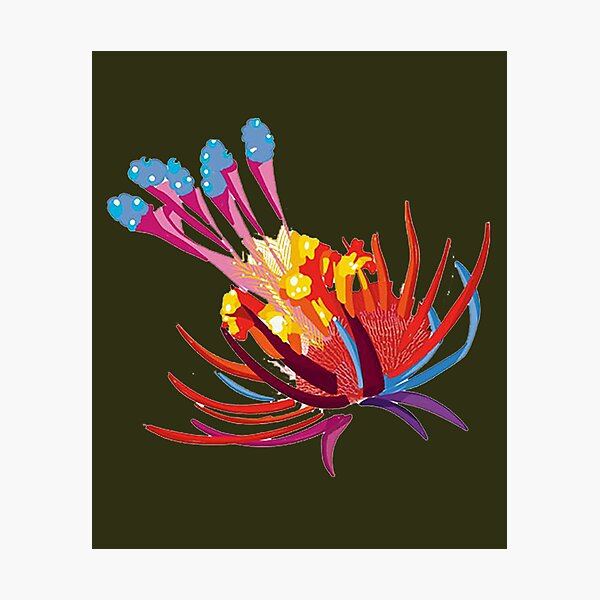 Aperçu de l'œuvre Fleur de pandora liliac biscus arc-en-ciel créée et vendue par AmberMarshall2.