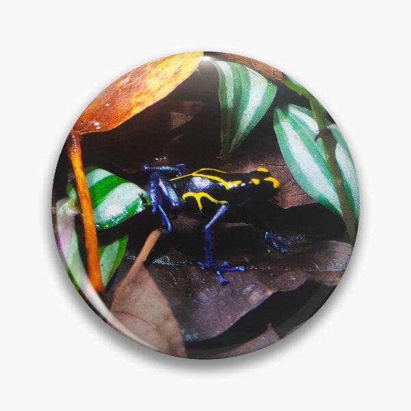 Item preview, Dyeing Poison Arrow Frog designed and sold by SarahSison.