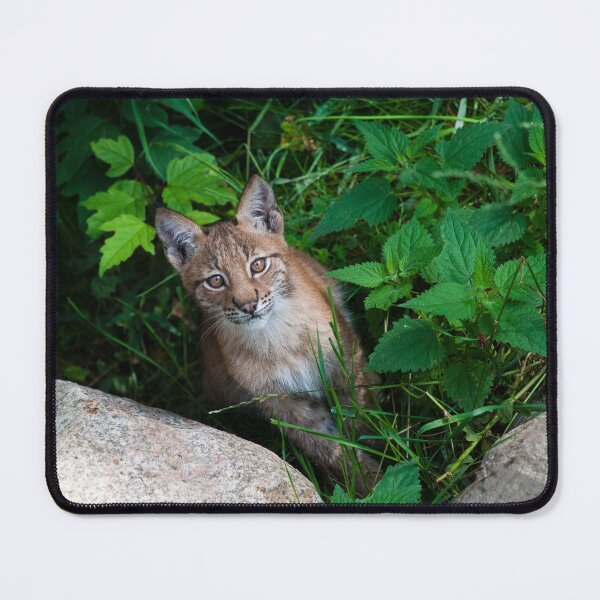 Item preview, Lynx Cub designed and sold by Jonathan Lundkvist.