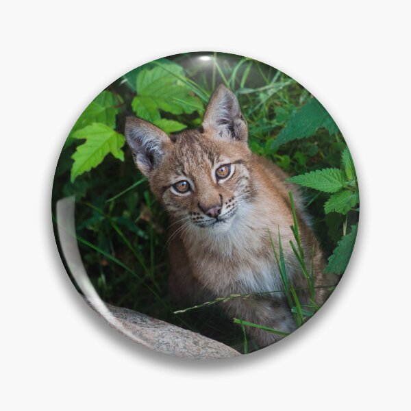Artikelvorschau, Lynx Cub entworfen und verkauft von Jonathan Lundkvist.
