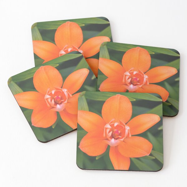 Item preview, A Single Orange Lily designed and sold by LisaWootenPhoto.