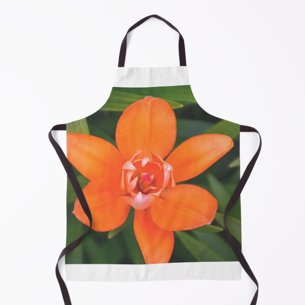 Item preview, A Single Orange Lily designed and sold by LisaWootenPhoto.