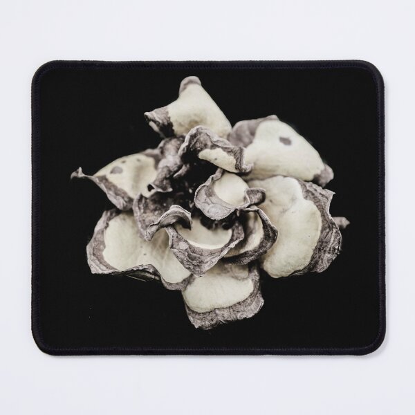 Item preview, Wilted designed and sold by SweetCass.