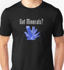 Haben Sie Mineralien? Logo Slim Fit T-Shirt