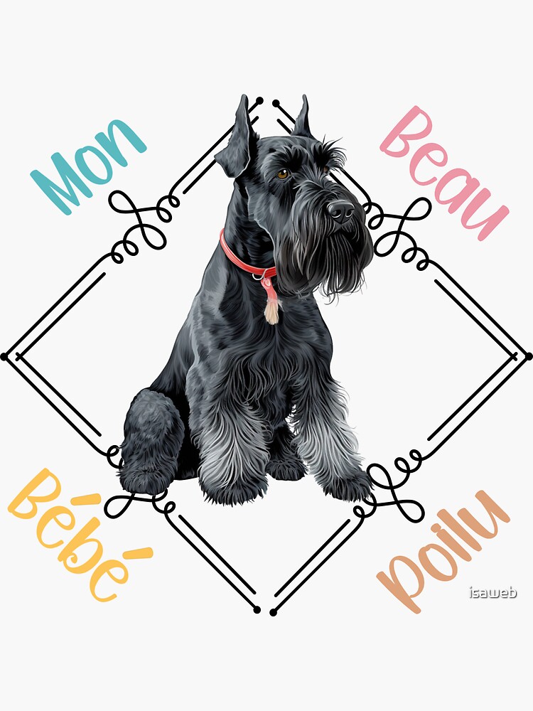 bebe schnauzer