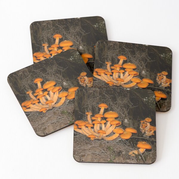 Item preview, Deep Woods Trove designed and sold by Wayne King.