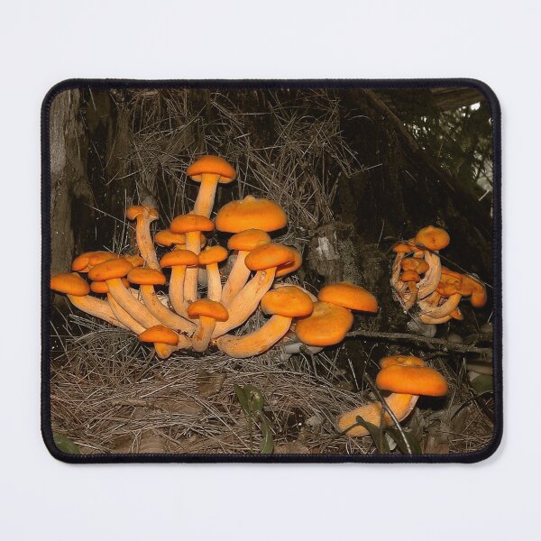 Item preview, Deep Woods Trove designed and sold by Wayne King.