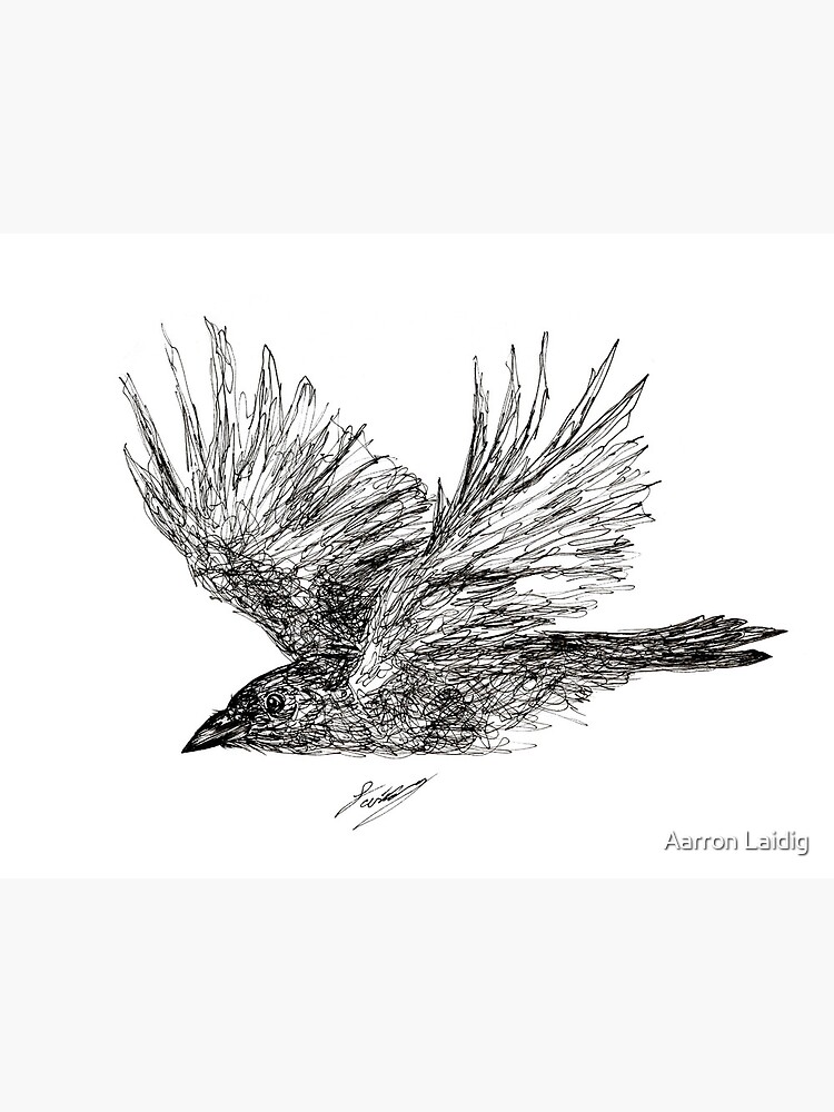 File:Flying crow drawing.jpg - Wikimedia Commons