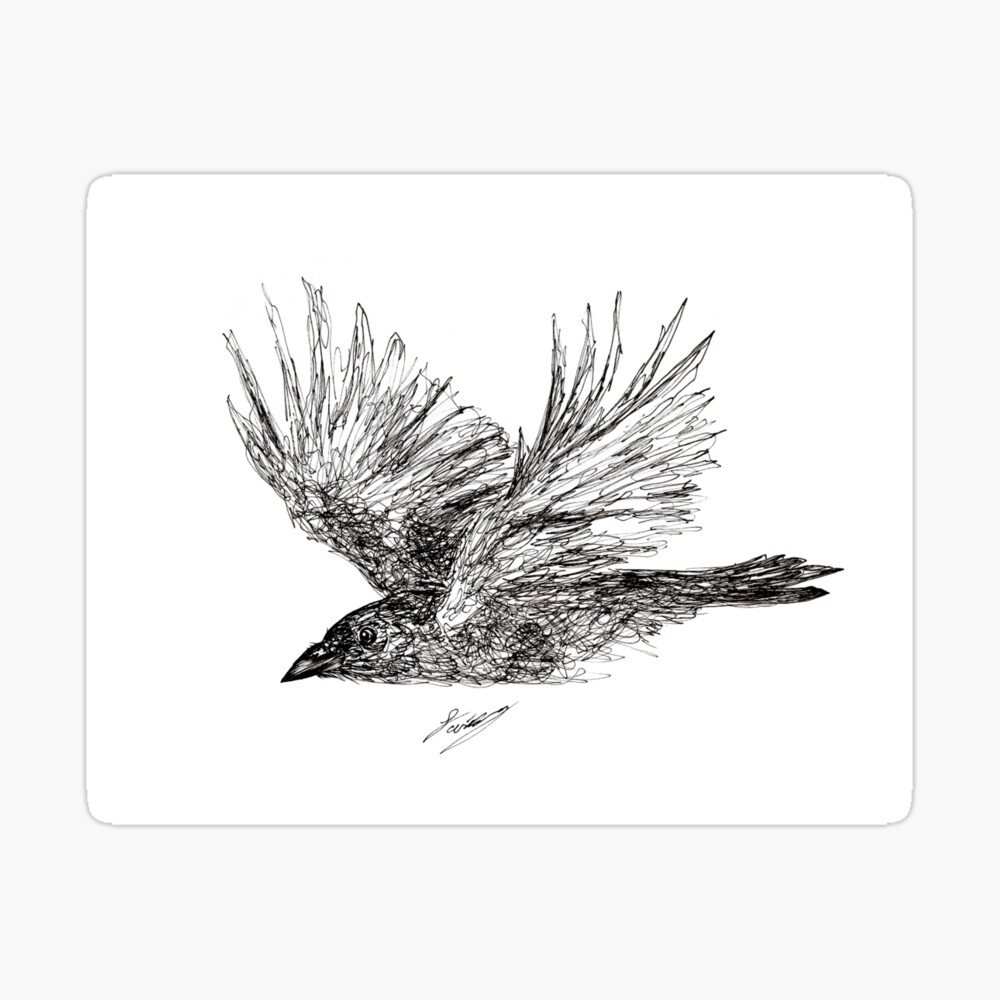 Raven Drawing Images – Browse 32,654 Stock Photos, Vectors, and Video |  Adobe Stock