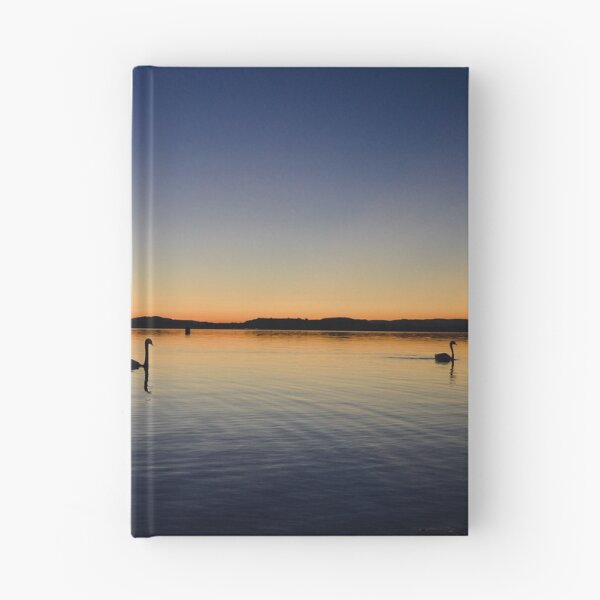 Item preview, Swan swiming at Sunset in Radolfzell am Bodensee Print designed and sold by dankomarcha.