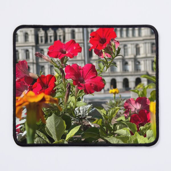 Item preview, Red Petunias in front of the NYS Capitol designed and sold by Stephanie Fay.