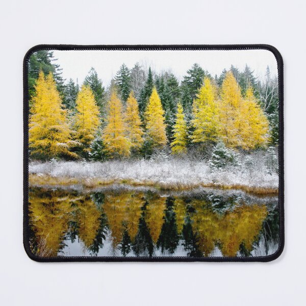 Item preview, Bakers Dozen Larches designed and sold by Wayne King.